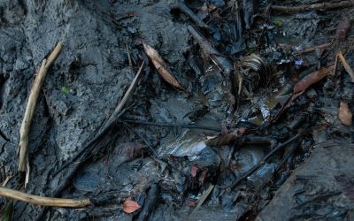 Línea de tiempo|Derrame petrolero del 2020