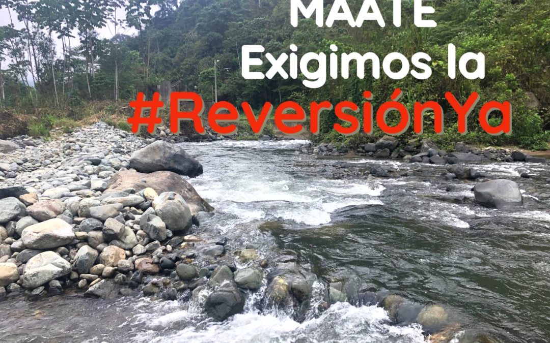 Boletín | MAATE reagendará audiencia en el proceso de reversión de la autorización de aprovechamiento de aguas de la hidroeléctrica Hidrotambo