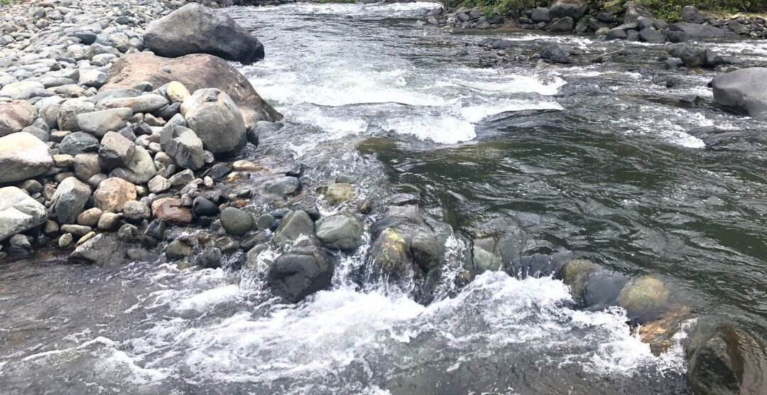 Pronunciamiento sobre el riesgo inminente en San Pablo de Amalí debido a las actividades de Hidrotambo en el río Dulcepamba