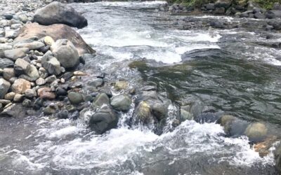 Ecuador se acerca a la COP4 de Escazú sin implementar el Acuerdo y en contradicción con sus obligaciones en temas ambientales