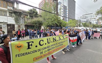 Comunidades Kichwa de Orellana demandan justicia ante la Corte Constitucional por el caso del derrame de 15800 barriles de hidrocarburos ocurrido el 7 de abril de 2020