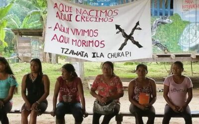 PRONUNCIAMIENTO POR LA GARANTÍA  DE LOS DERECHOS COLECTIVOS TERRITORIALES DE LAS COMUNIDADES TZAWATA- ILA-CHUKAPI (NAPO, ECUADOR)