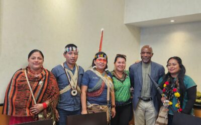 Organizaciones de derechos humanos y pueblos indígenas exponen preocupaciones al Relator Especial de las Naciones Unidas sobre los derechos de los Pueblos Indígenas durante su visita académica al Ecuador