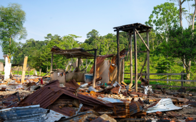 Uso de la fuerza estatal contra población civil: verificación de graves violaciones de derechos humanos en la Comunidad de San Martín