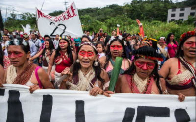 La Corte Constitucional no puede resolver sobre consulta prelegislativa sin escuchar a los pueblos indígenas